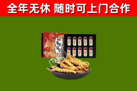 平桂区回收冬虫夏草价格