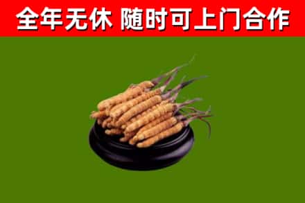 平桂区烟酒回收冬虫夏草.jpg