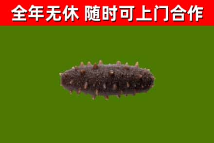平桂区烟酒回收干海参.jpg